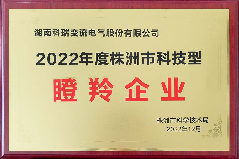 株洲市科技型瞪羚企业